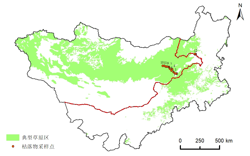 Ground-measured litter dataset of the typical steppe on the Mongolian Plateau